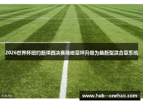 2026世界杯纽约新泽西决赛场地草坪升级为最新型混合草系统